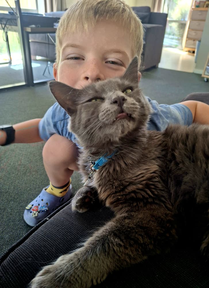 Happy adoption story: Bruce