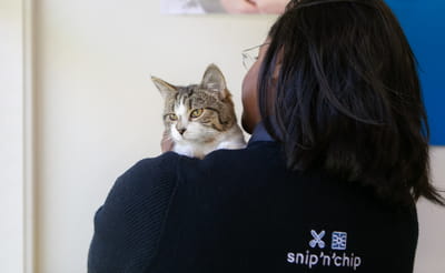 Feline volunteer