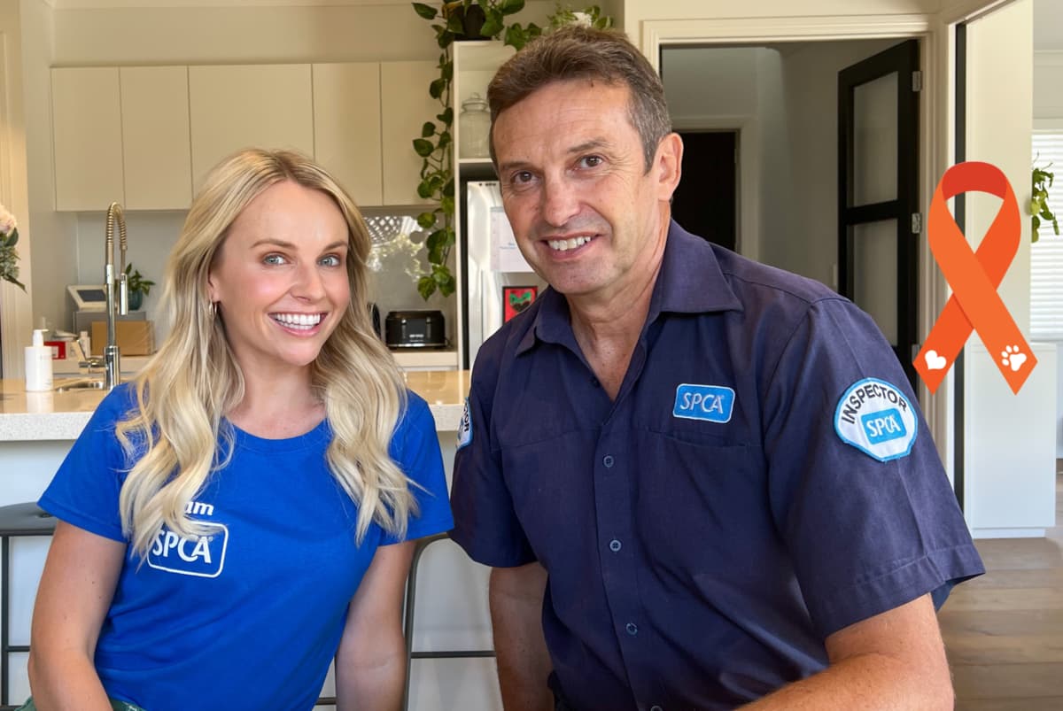 News: Kim Crossman Chats To Spca National Inspectorate Manager Alan 