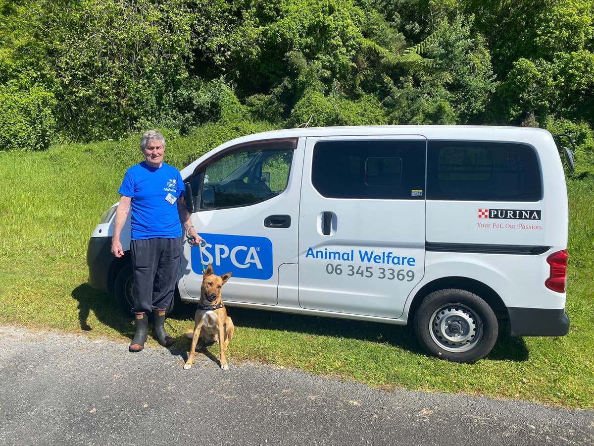 Spca van store